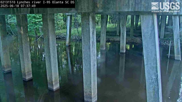 View of the river from under a road bridge.