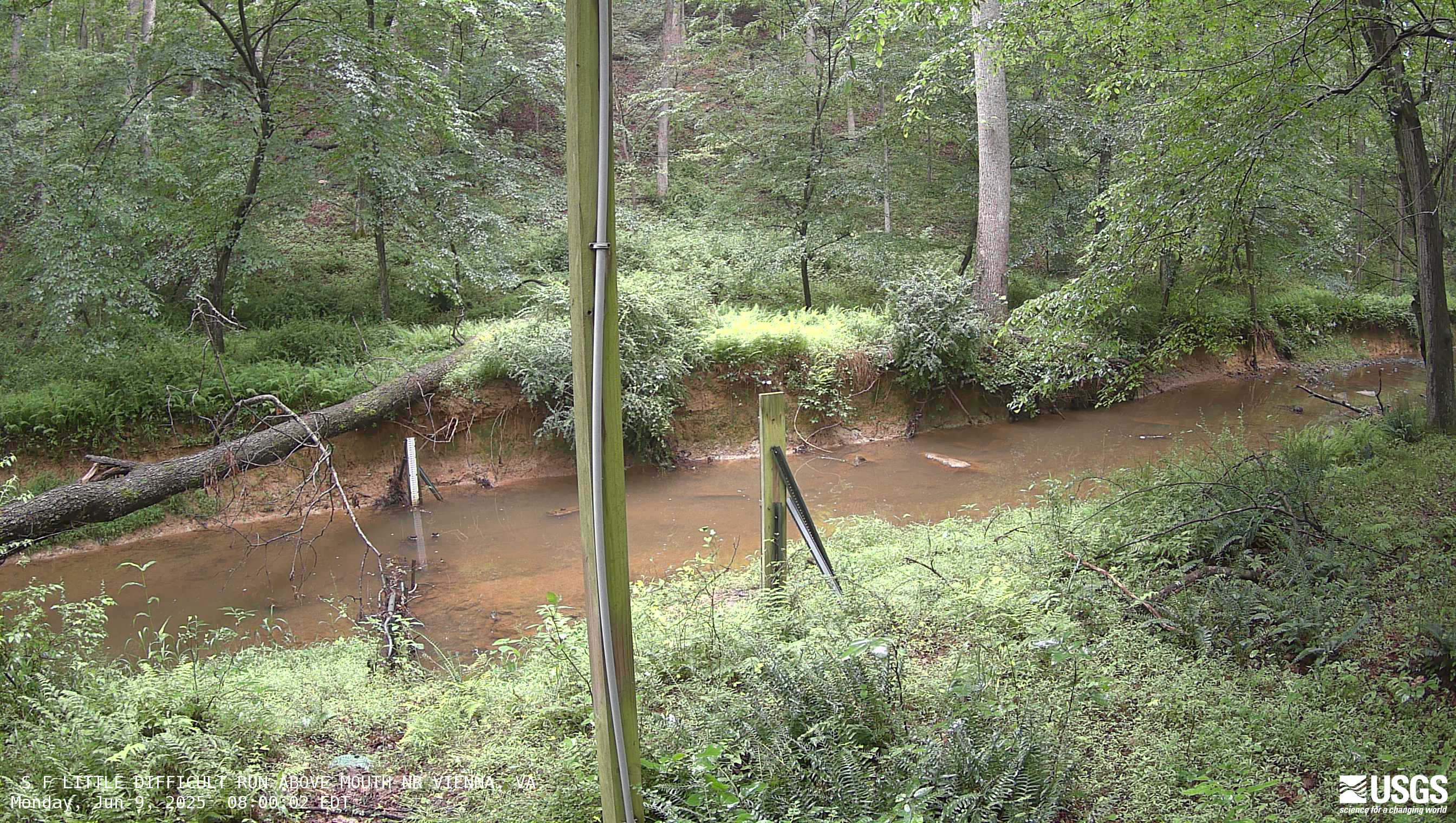 Latest imagery from the S F Little Difficult Run webcam
