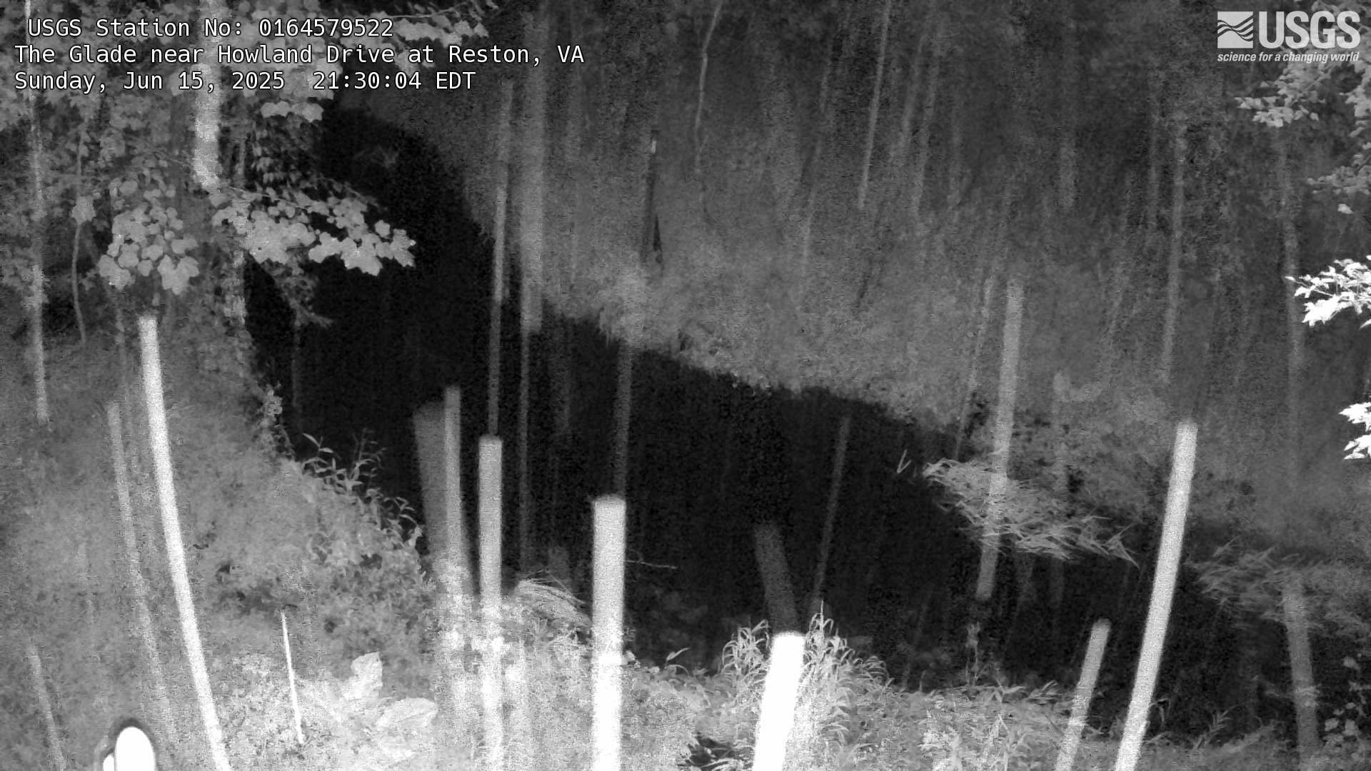 Most recent imagery of The Glade, a stream in Reston, Virginia